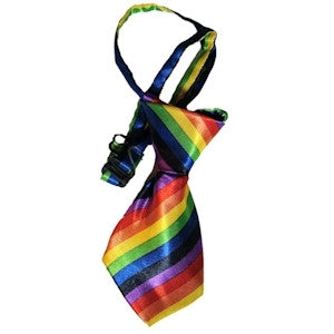 Rainbow Pet Tie
