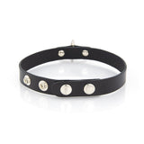 Standard Leather Collar with Large O-Ring