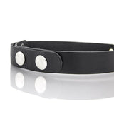 Standard Leather Collar with Small O-Ring