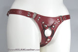 Aslan Jaguar Harness