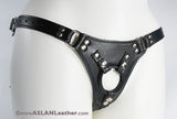 Aslan Jaguar Harness