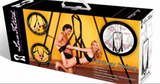Pleasure Swing