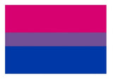 Medium Pride Hand Flags