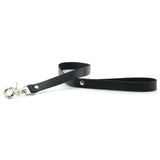 Leather Leash