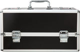 Lockable Toy Trunk
