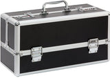 Lockable Toy Trunk