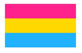 Medium Pride Hand Flags