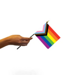 Small Pride Hand Flags