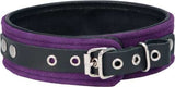 Punishment Suede Bondage Collar