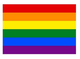 Medium Pride Hand Flags