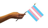 Small Pride Hand Flags